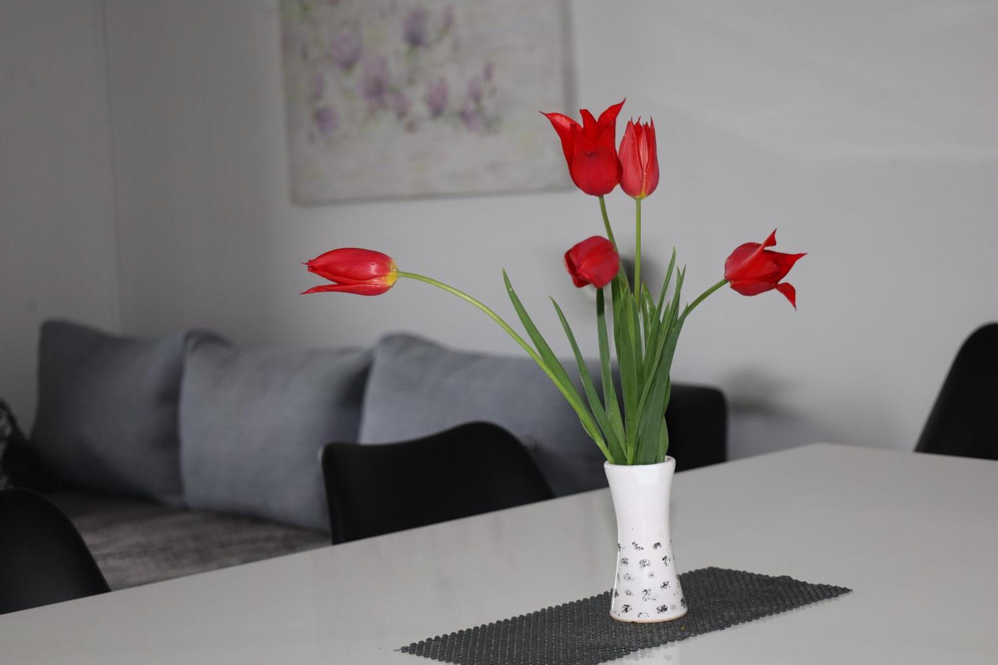 Apartma Javorscek 보베츠 외부 사진